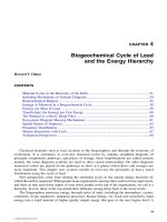 Heavy Metals in the Environment: Using Wetlands for Their Removal - Chapter 4 doc