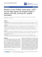 Báo cáo hóa học: 