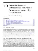 Wastewater Purification: Aerobic Granulation in Sequencing Batch Reactors - Chapter 10 doc