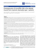 Báo cáo hóa học: 