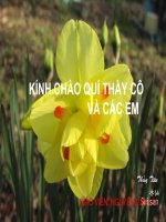 Giáo án điện tử môn môn sinh học: lớp sâu bọ pot