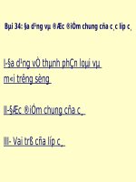 Bài giảng điện tử môn sinh học: Đặc điểm chung của lớp cá potx