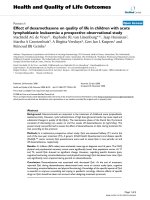 báo cáo hóa học: 