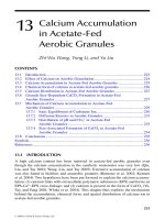 Wastewater Purification: Aerobic Granulation in Sequencing Batch Reactors - Chapter 13 potx
