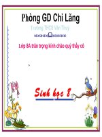 Giáo án điện tử môn môn sinh học: thụ tinh và thụ thai pot
