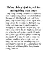 Phòng chống bệnh tay-chânmiệng bằng thảo dược docx