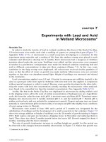 Heavy Metals in the Environment: Using Wetlands for Their Removal - Chapter 7 doc