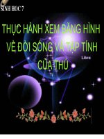 Giáo án điện tử môn môn sinh học: thực hành tập tính động vật pot