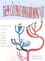 Giáo án điện tử môn môn sinh học: cây phát sinh động vật pot