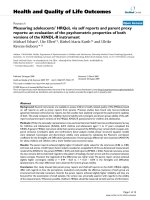 báo cáo hóa học: 