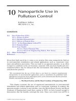 Nanotechnology and the Environment - Chapter 10 doc