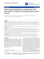 Báo cáo hóa học: 