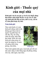 Kinh giới - Thuốc quý của mọi nhà pdf