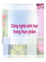 bài giảng công nghệ sinh học chương 4 công nghệ sinh học trong thực phẩm