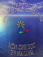 Bài giảng điện tử môn sinh học: Một số động vật thân mềm pot