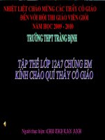 Bài giảng điện tử môn hóa học: sắt_2 pot