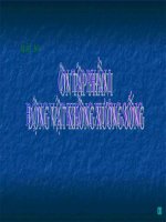 Bài giảng điện tử môn sinh học: Động vật không xương sống doc