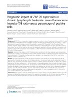 Báo cáo hóa học: 