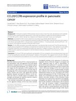 Báo cáo hóa học: 