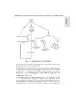 Susceptibilités génétiques et expositions professionnelles - part 4 ppt