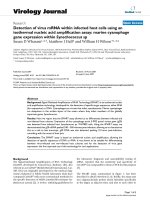 Báo cáo sinh học: 