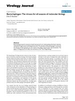 Báo cáo sinh học: 