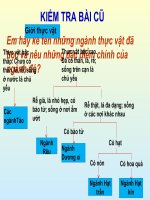 Bài giảng điện tử môn sinh học: sự phát triển của giới thực vật pot