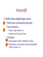 Les brûlures en phase aiguë - part 5 pot