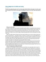 Công nghiệp hóa và ô nhiễm môi trường docx