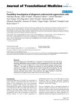 báo cáo hóa học: