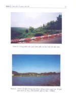 Chim yến và kỹ thuật nuôi lấy tổ part 3 docx