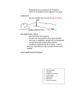 Techniques de manipulations en radiologie medicale - part 5 potx