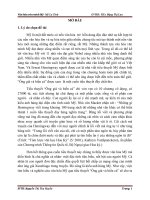 tieu luan VAN HOA MI LA TINH ppt