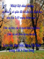 Giáo án điện tử môn môn sinh học: đa dạng của lớp chim và hình ảnh của lớp chim ppt