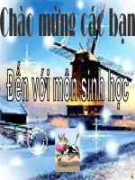 Bài giảng điện tử môn sinh học: châu chấu pot