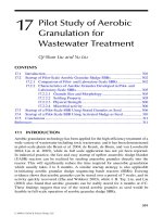 Wastewater Purification: Aerobic Granulation in Sequencing Batch Reactors - Chapter 17 (end) doc