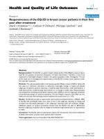 báo cáo hóa học: 