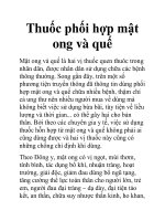 Thuốc phối hợp mật ong và quế ppt