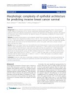 Báo cáo hóa học: 