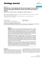 Báo cáo sinh học: 