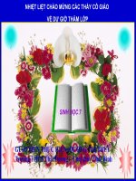 Bài giảng điện tử môn sinh học: Giun đũa pptx