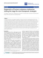 Báo cáo hóa học: 