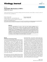 Báo cáo sinh học: 