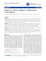 Báo cáo hóa học: 