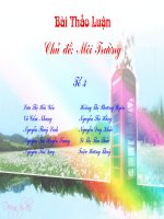 Bài giảng điện tử môn hóa học: nhóm halogen pptx