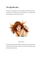 Tóc đẹp bốn mùa pot