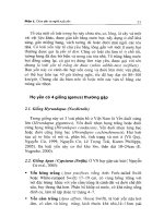 Chim yến và kỹ thuật nuôi lấy tổ part 2 docx