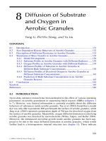Wastewater Purification: Aerobic Granulation in Sequencing Batch Reactors - Chapter 8 doc