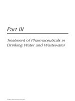 Fate of Pharmaceuticals in the Environment and in Water Treatment Systems - Chapter 10 docx