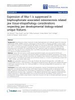 Báo cáo hóa học: 